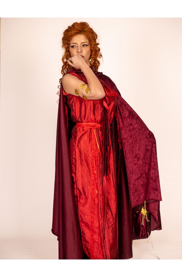 Velvet Roman Purse for Women - Golden...