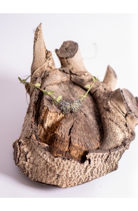 Medieval Celtic Headpiece...